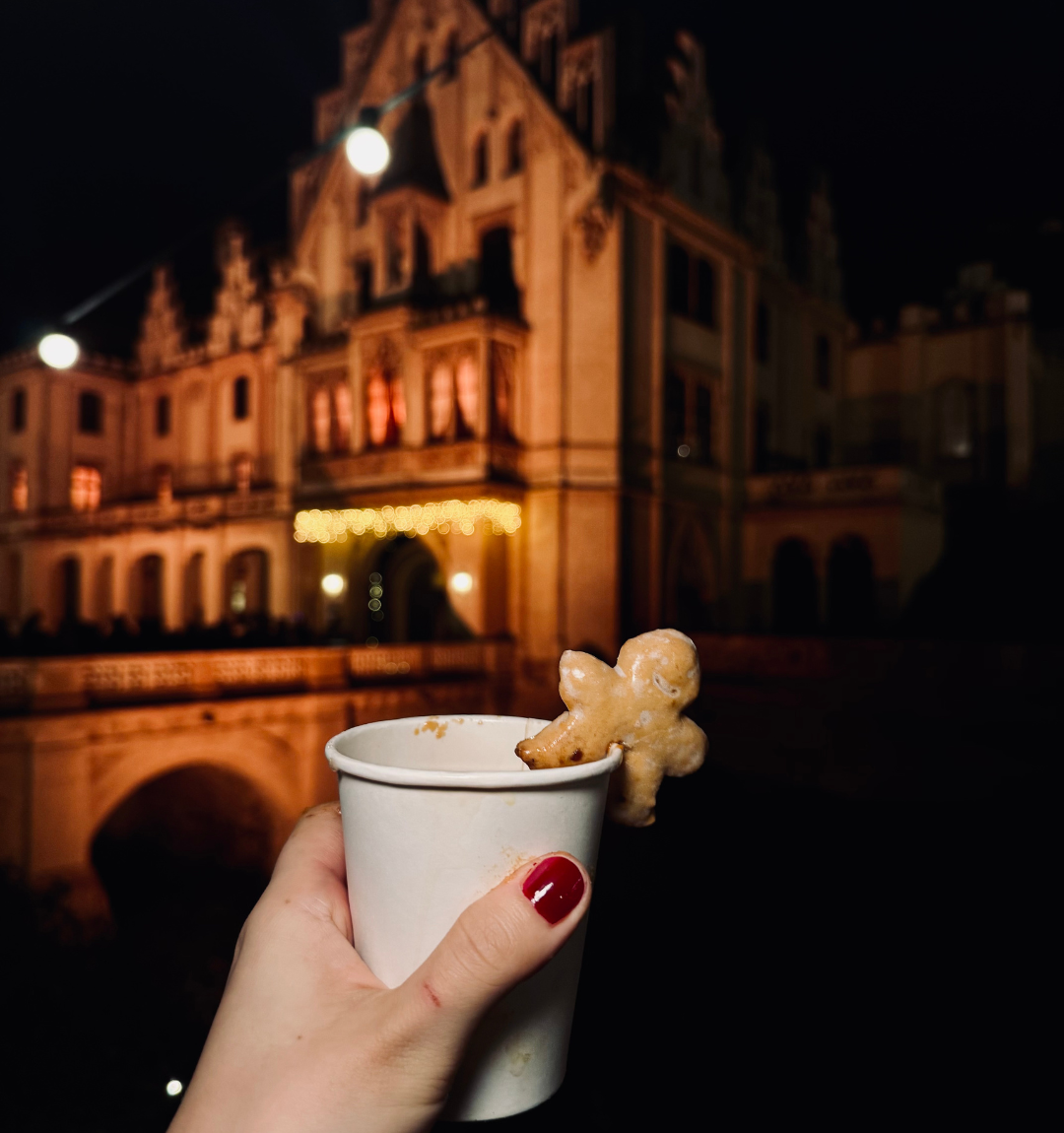 Read more about the article Grafenegg Advent: The Christmas Market that feels like Hogwarts