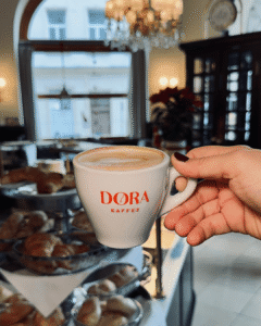 Where to eat before the opera in Vienna