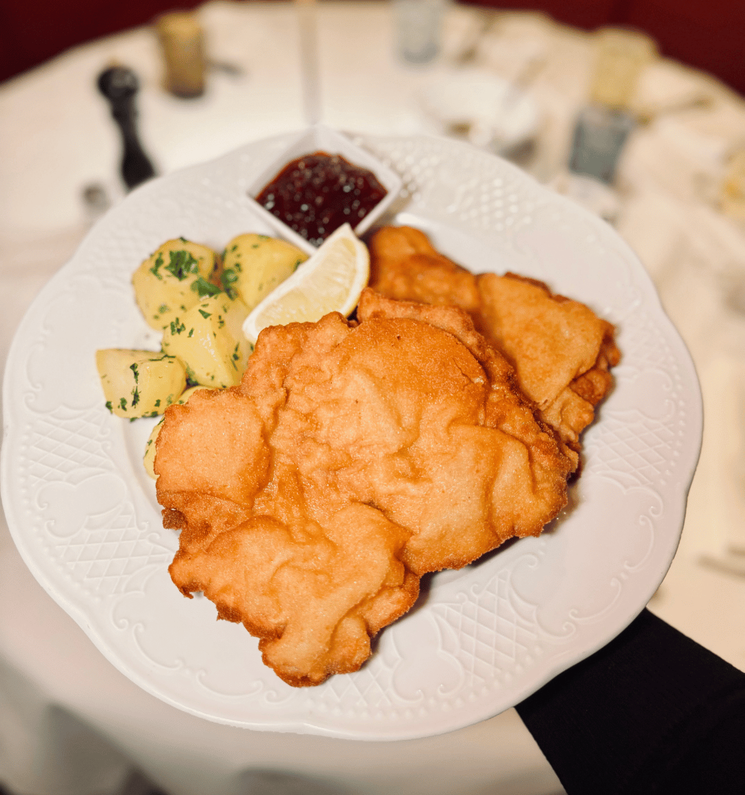 Read more about the article Stadtwirt Vienna: A Respected Viennese Restaurant in the 3rd District